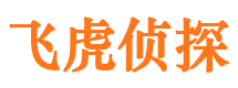 葫芦岛市私家侦探